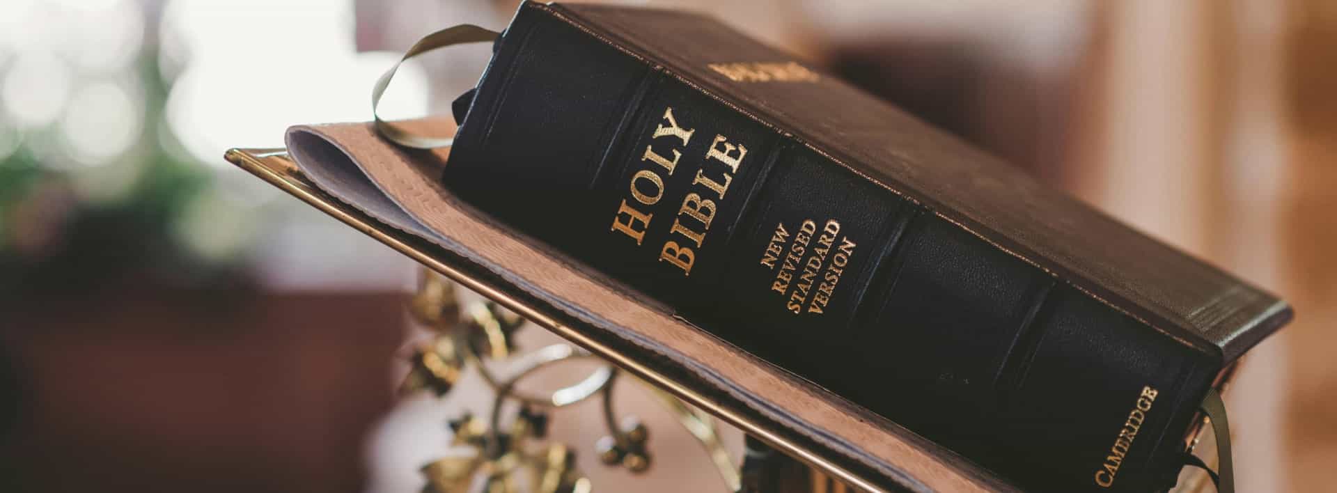 holy bible